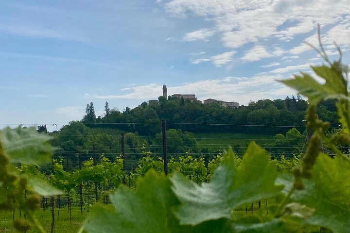 All inclusive Private Prosecco Hills Tour - 2 Wineries and Lunch.