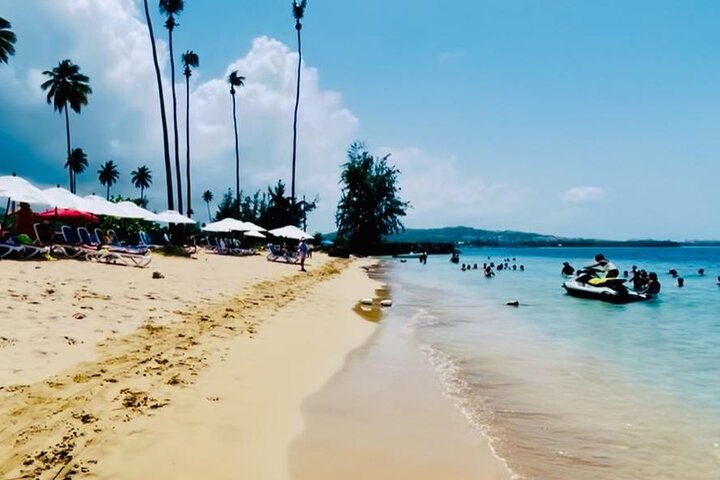 2 Tours in 1 Day Rainforest and Beach Adventure with Transport
