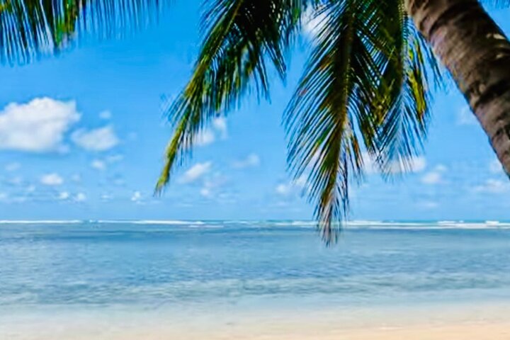 3 Tours in 1 Day Old San Juan Rainforest and Beach with Transport
