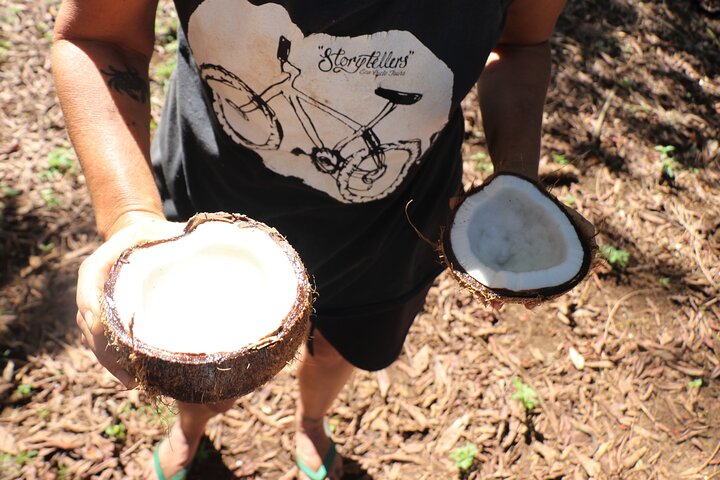 Market, Farm, Fork! A taste of Rarotonga: from farm to fork.