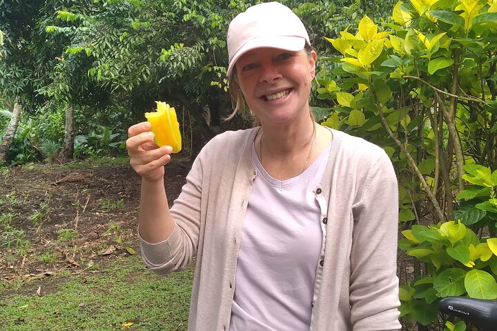 Market, Farm, Fork! A taste of Rarotonga: from farm to fork.