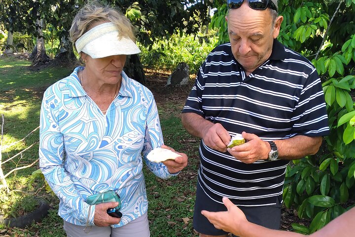 Market, Farm, Fork! A taste of Rarotonga: from farm to fork.