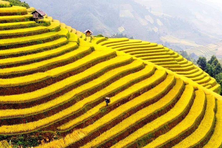 Discover Ha Giang Loop Tour 3 Day 4 Nights with EASY-RIDER