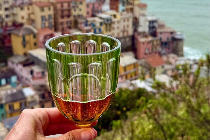 Cinque Terre private experience