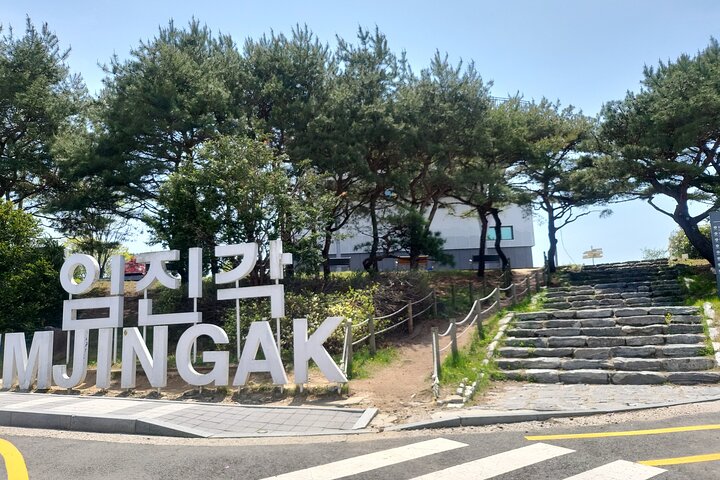 Half or Day Private Tour For Cruise Incheon and Seoul City Tour