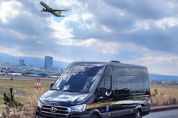 Half or Day Private Tour For Cruise Incheon and Seoul City Tour