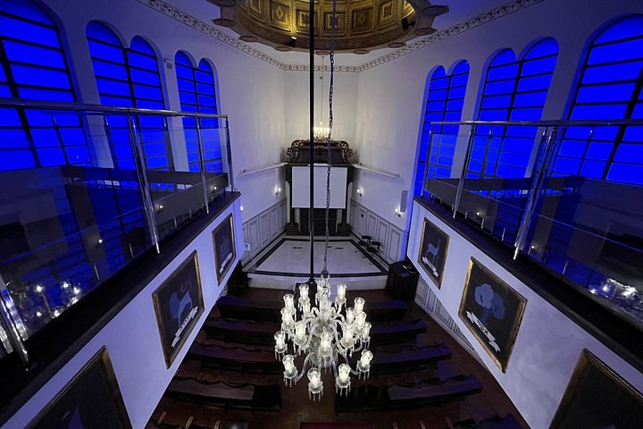 Private Jewish Tour: São Paulo Synagogues & Museums (5 Hours)