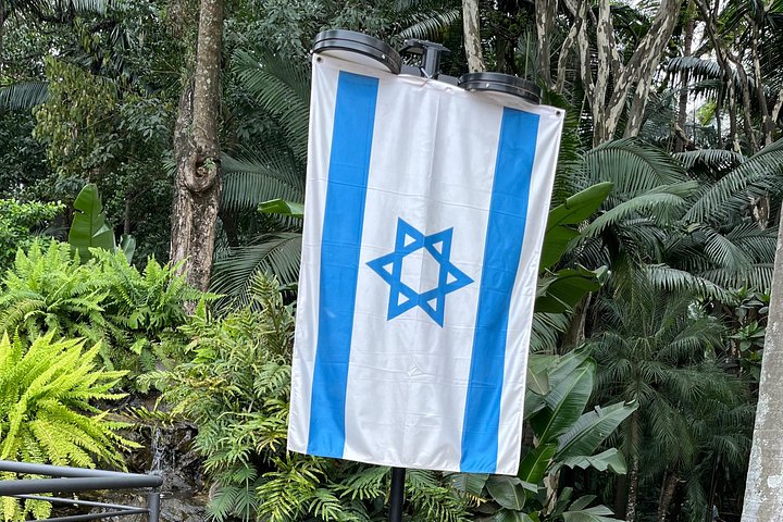 Private Jewish Tour: São Paulo Synagogues & Museums (5 Hours)