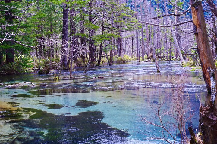 Kamikochi & Matsumoto Castle: A Perfect Nature & Heritage Day
