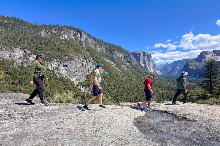 Ultimate Yosemite: Private Tour + Lunch