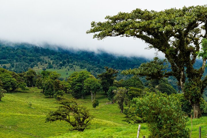 Poas Coffee tour, La Paz Falls and Poas Volcano
