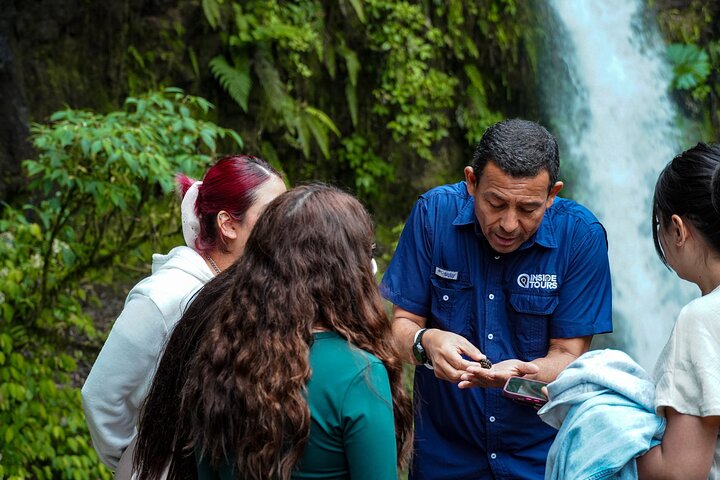 Poas Coffee tour, La Paz Falls and Poas Volcano