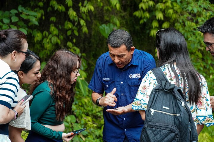 Poas Coffee tour, La Paz Falls and Poas Volcano