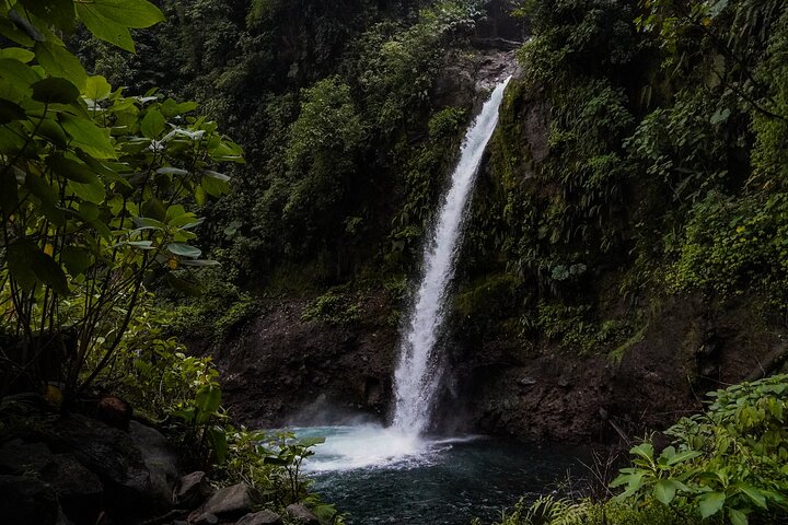 Poas Coffee tour, La Paz Falls and Poas Volcano
