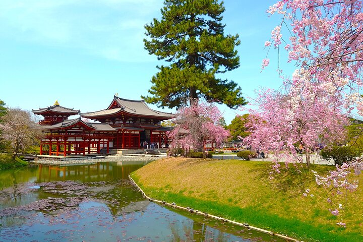 Slow Cycling Tour at Uji's Matcha Green Tea Fields and Heritage
