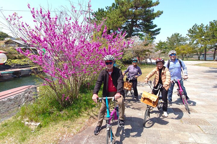 Slow Cycling Tour at Uji's Matcha Green Tea Fields and Heritage