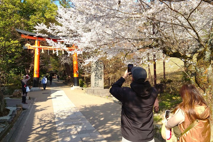Slow Cycling Tour at Uji's Matcha Green Tea Fields and Heritage