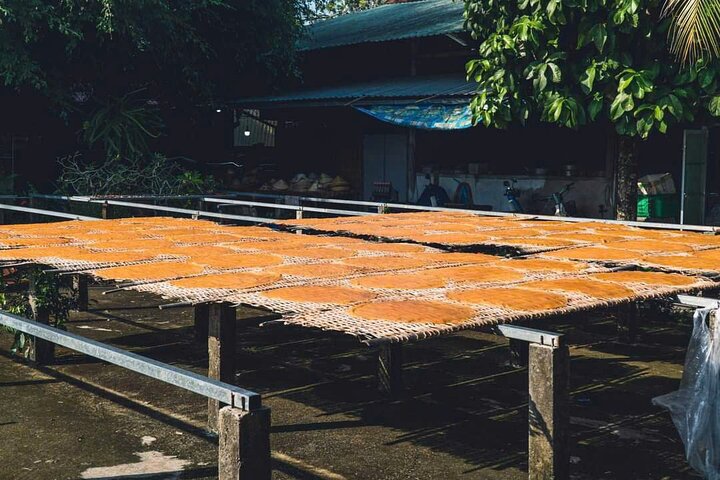 Can Tho: Floating Market, Canals, Nature Reserve & Forest