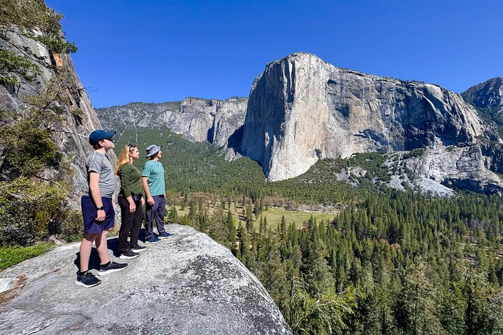 Ultimate Yosemite: Private Tour + Lunch