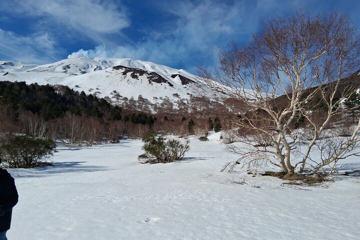 Etna and Wine an experience between nature and aromas with taste.