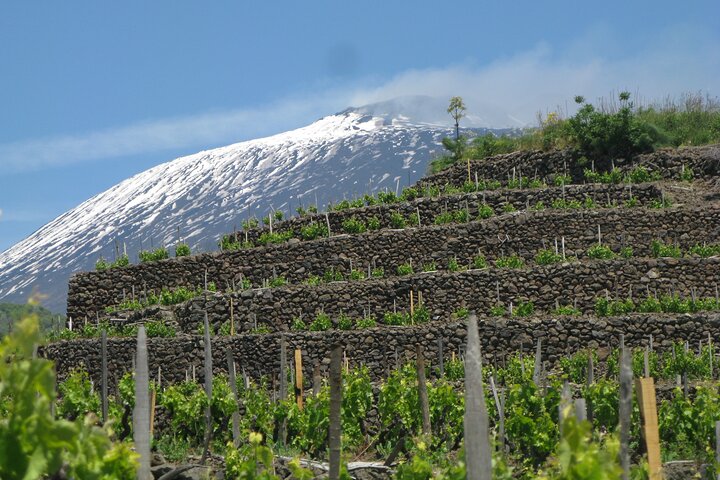 Etna and Wine an experience between nature and aromas with taste.