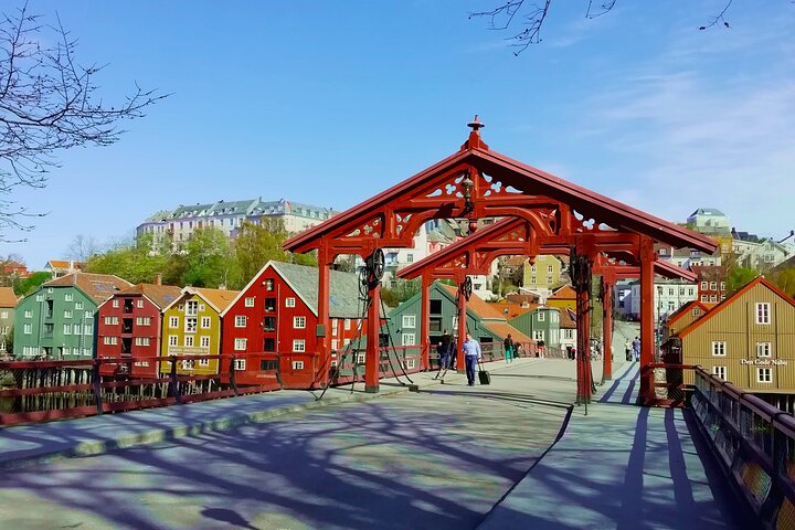 Trondheim: Discover the city of kings with a local guide