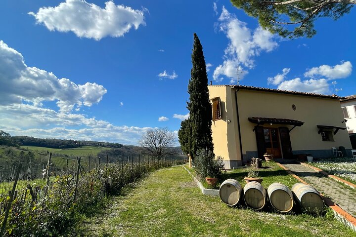 Truffle Hunting in Chianti, pasta class and lunch