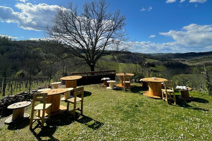 Truffle Hunting in Chianti, pasta class and lunch