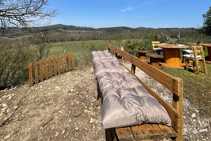 Truffle Hunting in Chianti, pasta class and lunch