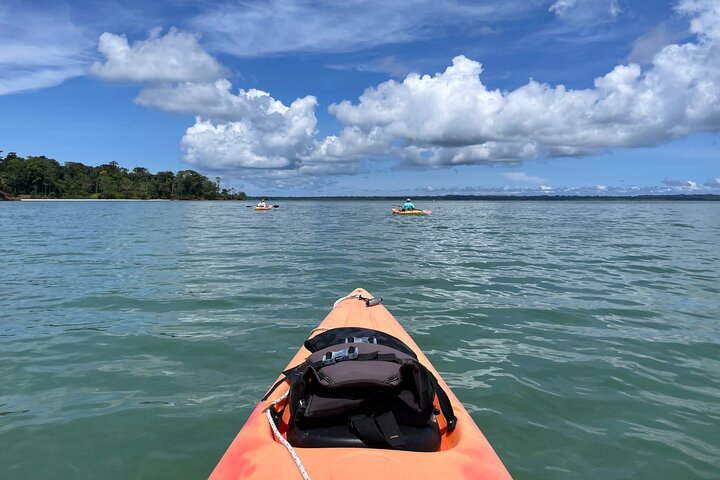 A Bocas Mangrove Kayak & Reef Snorkel Eco Tour