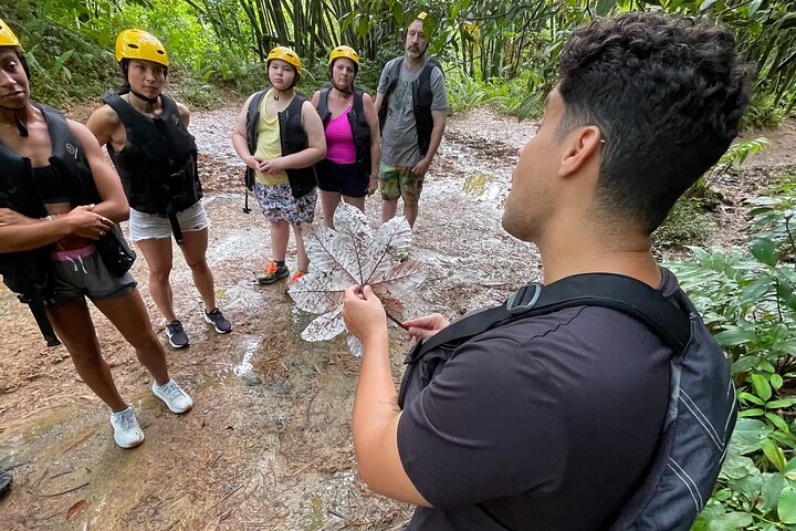 Small Group El Yunque Half Day Tour with Transport: Waterslide