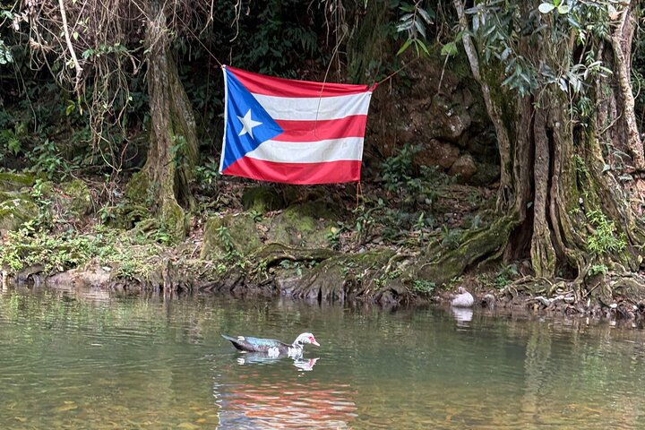 Small Group El Yunque Half Day Tour with Transport: Waterslide