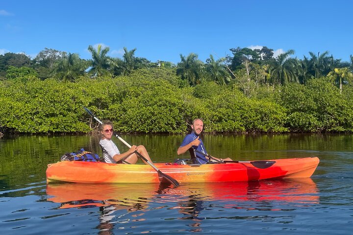 A Bocas Mangrove Kayak & Reef Snorkel Eco Tour