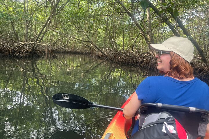 A Bocas Mangrove Kayak & Reef Snorkel Eco Tour