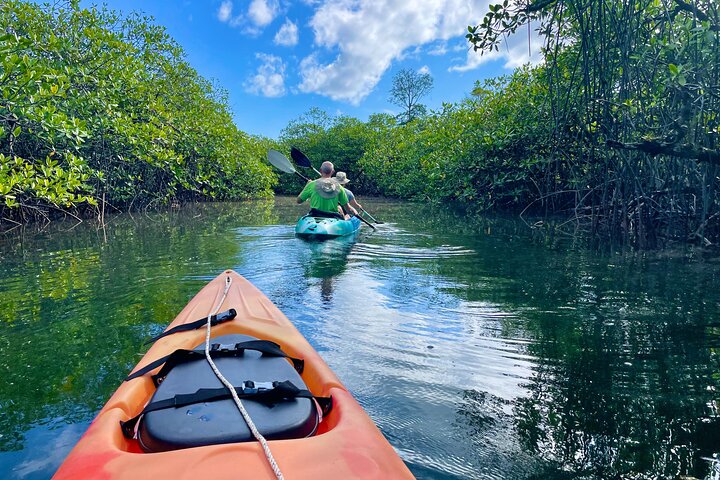 A Bocas Mangrove Kayak & Reef Snorkel Eco Tour
