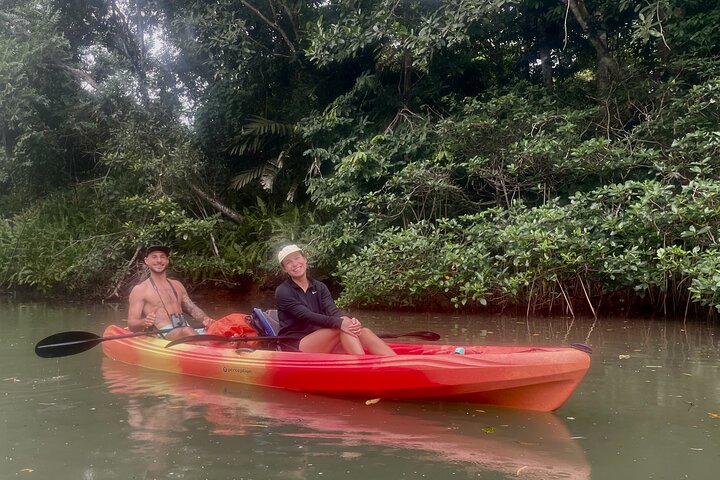 A Bocas Mangrove Kayak & Reef Snorkel Eco Tour