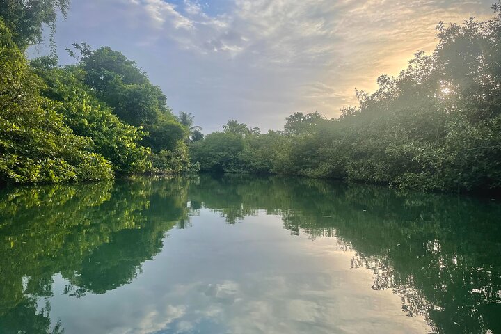 A Bocas Mangrove Kayak & Reef Snorkel Eco Tour