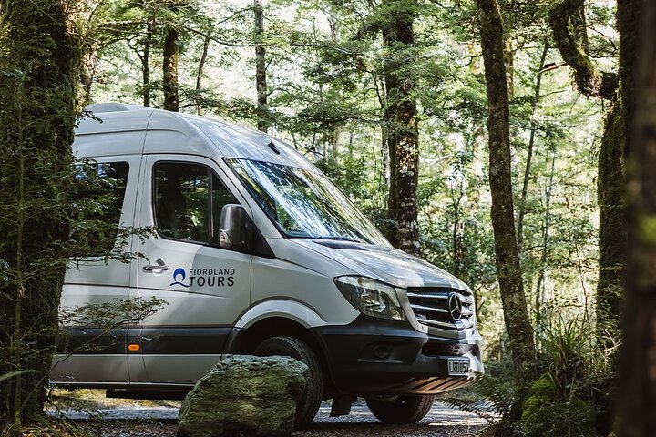 Award Winning Milford Sound Full Day Tour & Cruise from Te Anau