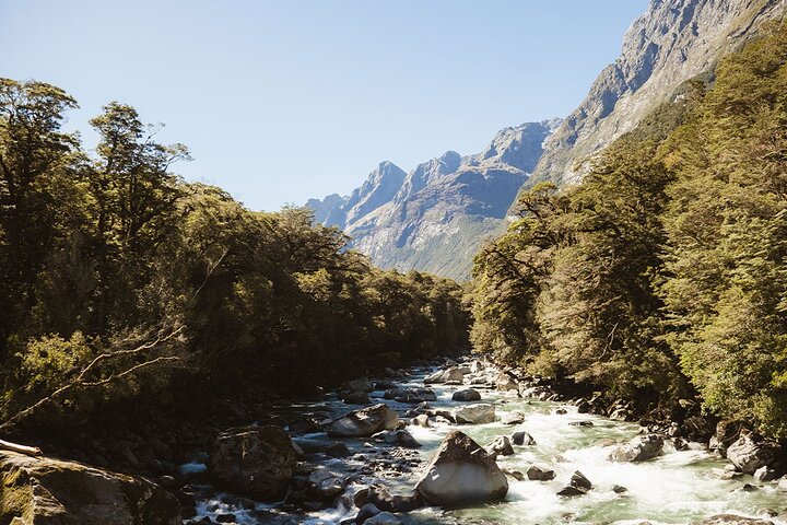 Award Winning Milford Sound Full Day Tour & Cruise from Te Anau