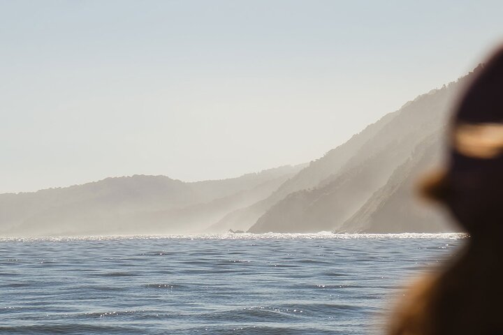 Award Winning Milford Sound Full Day Tour & Cruise from Te Anau