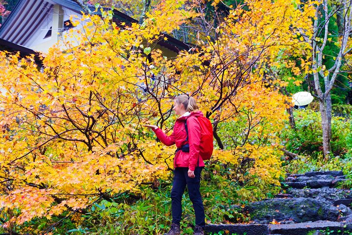 Togakushi: A Serene Walk Through Sacred Forests & Soba Traditions