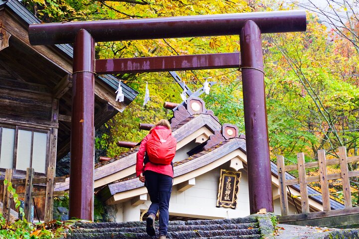 Togakushi: A Serene Walk Through Sacred Forests & Soba Traditions