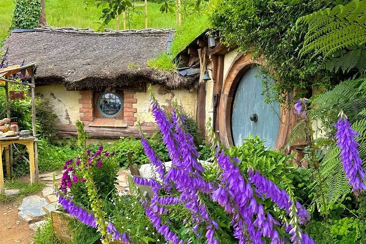 From Hamilton Hobbiton Waitomo Glowworm Caves 1 Day Private Tour