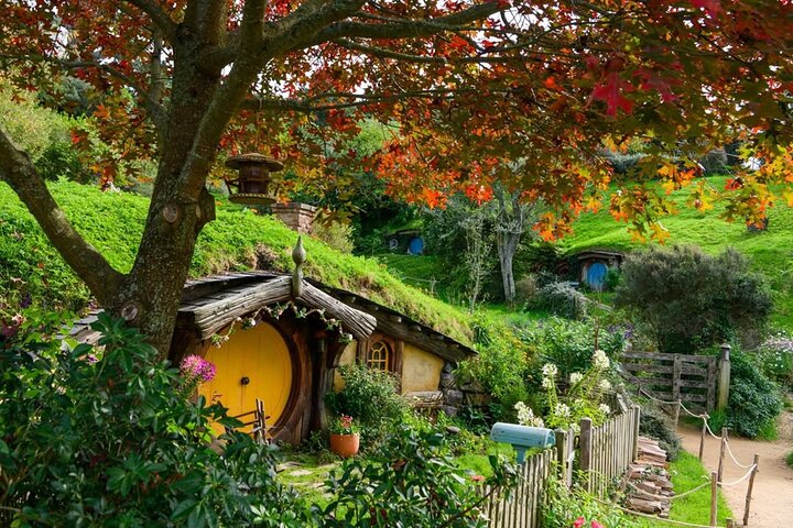 3 Day Minivan Tour From Hamilton to Taupo
