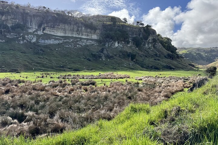 2 Day Hobbiton Waitomo Caves Raglan Private Tour from Hamilton