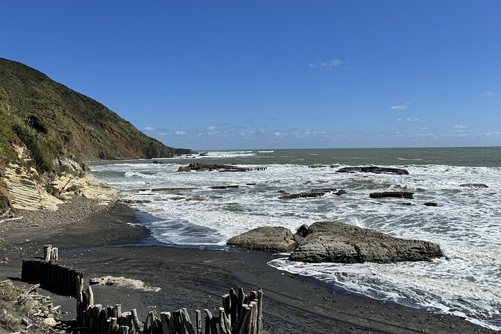 2 Day Hobbiton Waitomo Caves Raglan Private Tour from Hamilton