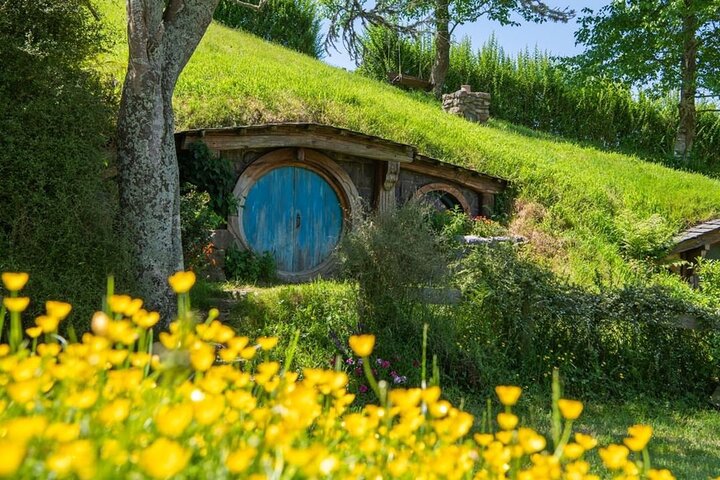 From Hamilton Hobbiton Waitomo Glowworm Caves 1 Day Private Tour