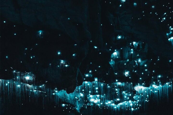2 Day Hobbiton Waitomo Caves Raglan Private Tour from Hamilton