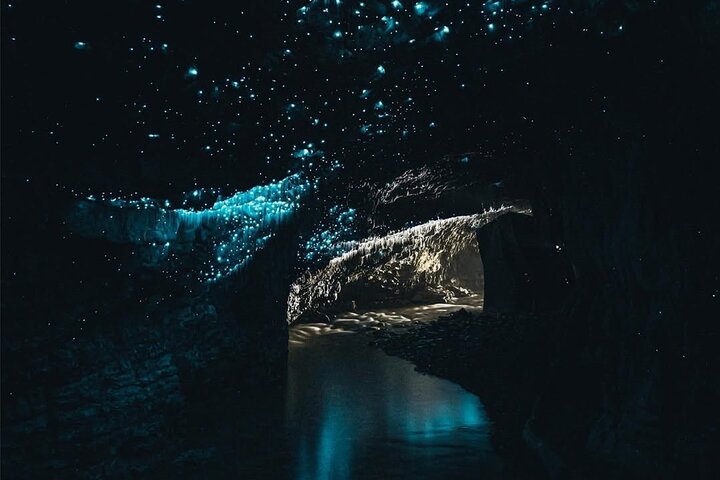 2 Day Hobbiton Waitomo Caves Raglan Private Tour from Hamilton