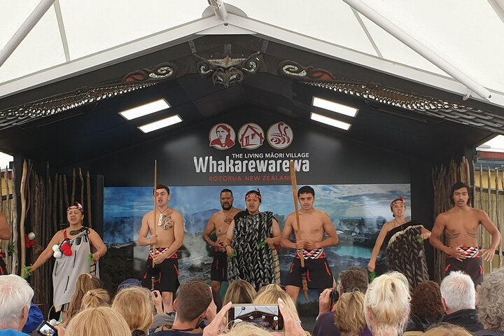 Tauranga Cruise Tour Rotorua Redwood and Maori Village Experience